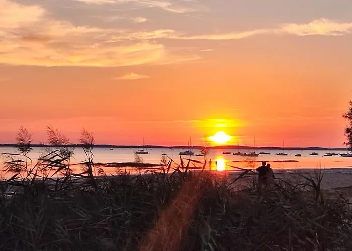 Casa de Férias De Gascogne (adults Only) Lanton