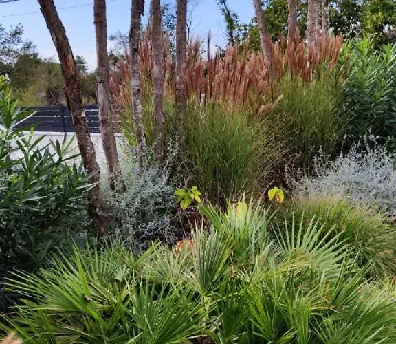 De Gascogne (adults Only) *