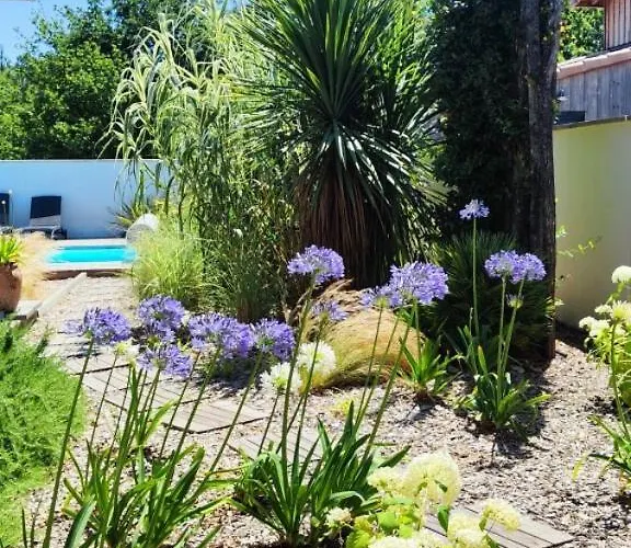 De Gascogne (adults Only) * Lanton