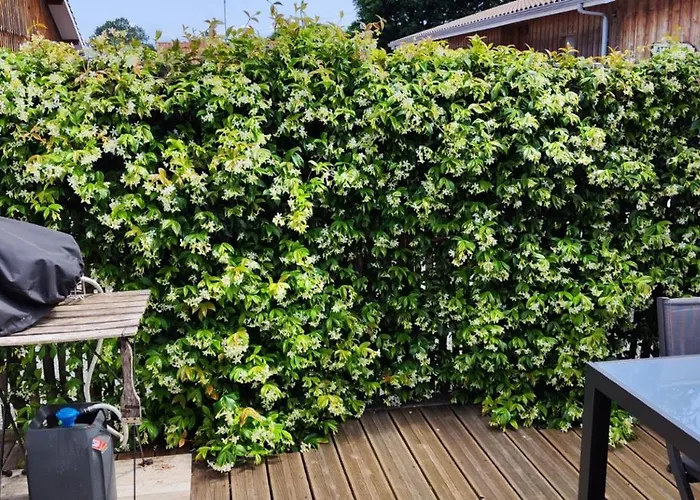 De Gascogne (adults Only)