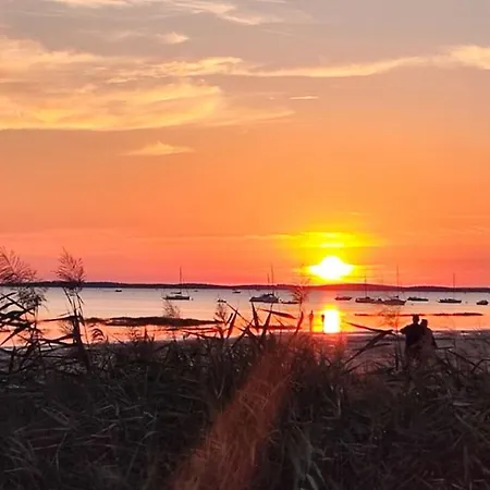 بيت للعطل De Gascogne (adults Only) لانتون