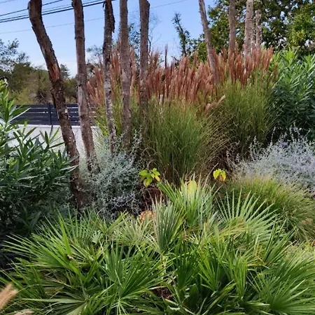 De Gascogne (adults Only) *