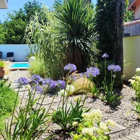 De Gascogne (adults Only) * لانتون