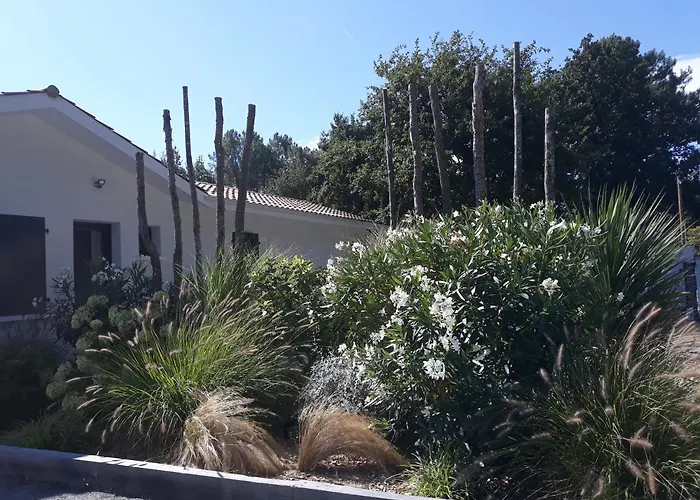 Сasa de vacaciones De Gascogne (adults Only) *